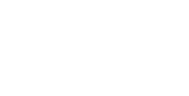 MONGOL800