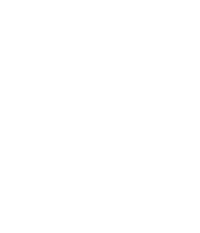 LOW IQ 01 & THE RHYTHM MAKERS PLUS