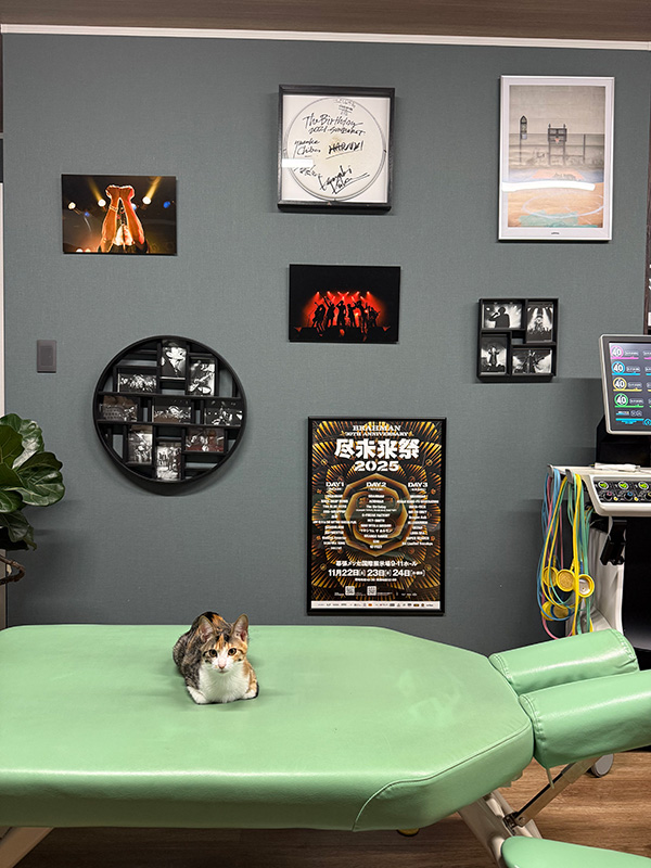 ポスター大作戦 | BRAHMAN 30th Anniversary「尽未来祭 2025」