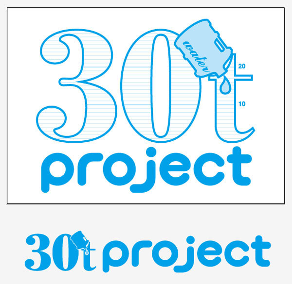 30t project